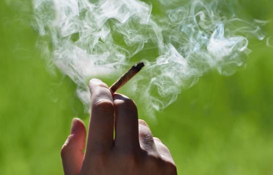 cannabis-porro-humo_EDEIMA20180223_0007_1.jpg