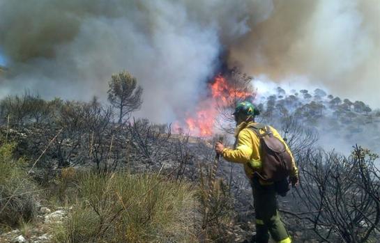 Agente-forestalincendio_EDEIMA20140718_0002_1.jpg