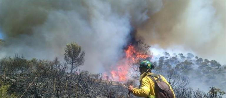 Agente-forestalincendio_EDEIMA20140718_0002_1.jpg