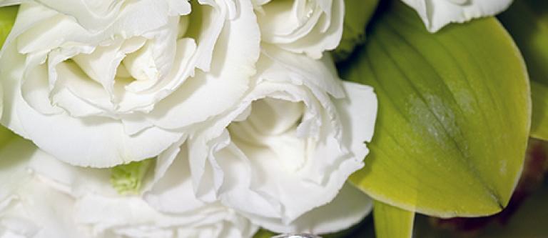 Boda_EDEIMA20110203_0006_1.jpg