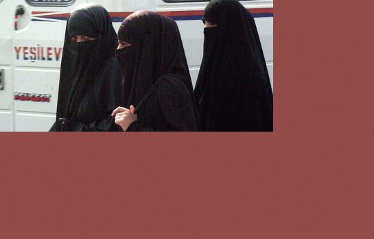 Burka_EDEIMA20110124_0020_1.gif