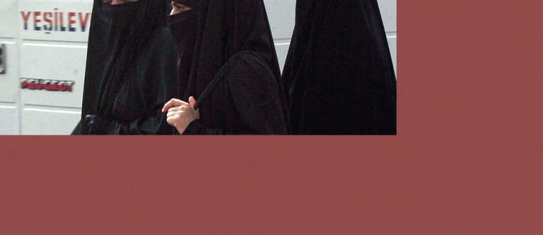 Burka_EDEIMA20110124_0020_1.gif