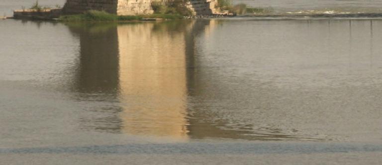 Ebromedio-ambienterio_EDEIMA20110629_0011_1.jpg