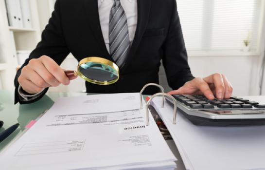 Fraudeauditoria_EDEIMA20170914_0002_1.jpg