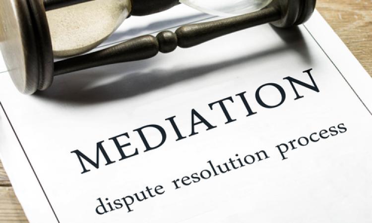 Mediacion_EDEIMA20170119_0019_1.jpg