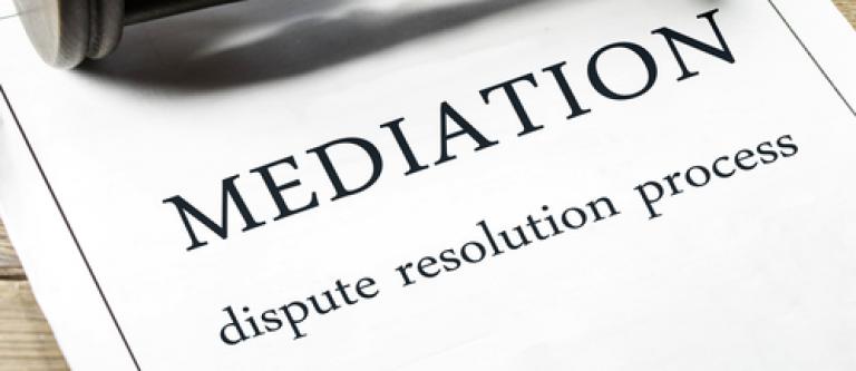 Mediacion_EDEIMA20170119_0019_1.jpg