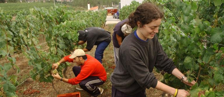 Trabajadorlaboralcampoagrario_EDEIMA20110711_0017_1.jpg