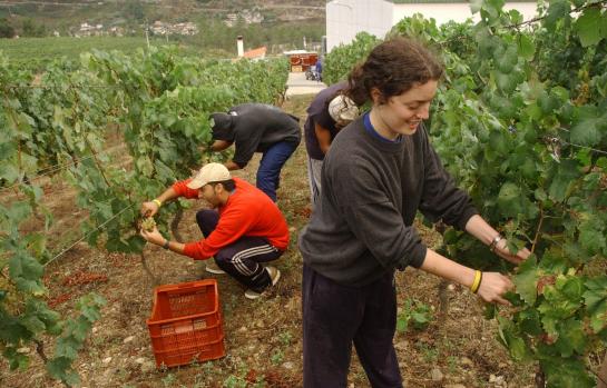 Trabajadorlaboralcampoagrario_EDEIMA20110711_0017_1.jpg