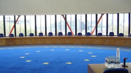Tribunal-Europeo-Derechos-Humanos_EDEIMA20110705_0015_1.jpg