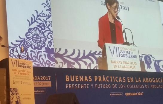 Victoria-Ortega-Granada_EDEIMA20170601_0024_1.jpg