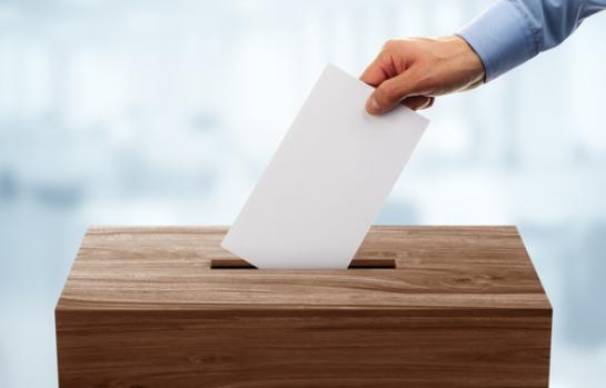 Voto-votar_EDEIMA20170209_0012_1.jpg