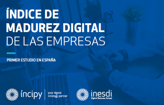 Indice-madurez-digital-empresas_EDEIMA20171030_0008_1.png