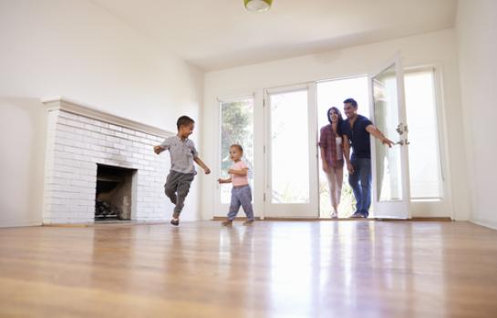 shutterstock_516646468