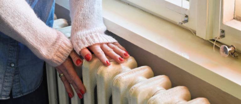 shutterstock_781785535