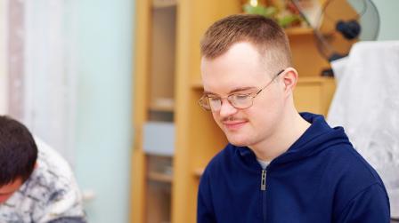 Discapacidad,discapacitado intelectual