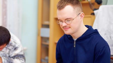 Discapacidad,discapacitado intelectual