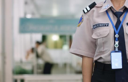 Seguridad,vigilante