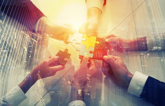 Asociación sin ánimo