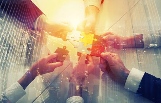 Asociación sin ánimo