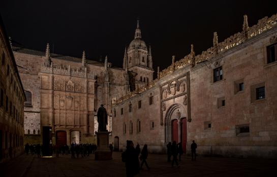 Conexión de acción publiciana con acción reivindicatoria