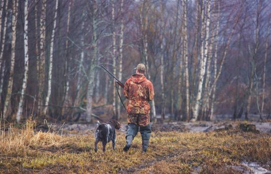 shutterstock_1106135210 (1)