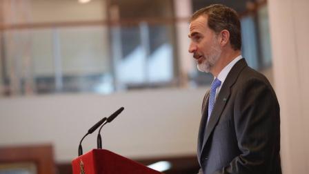 SM Rey Don Felipe VI