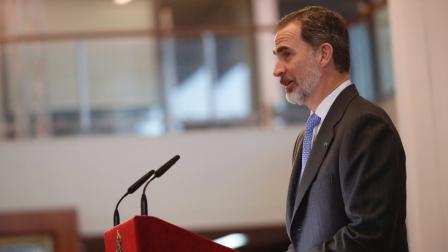 SM Rey Don Felipe VI