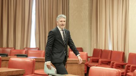 Fernando-Grande_Marlaska