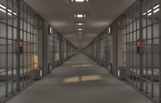 Delitos y trastornos mentales