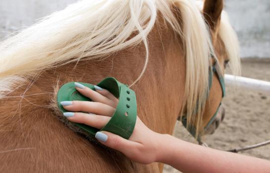 shutterstock_151650971