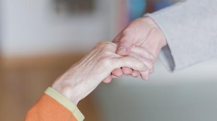 Contrato de compraventa y alimentos