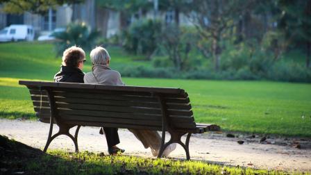 Jubilado-pensionista