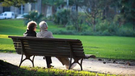 Jubilado-pensionista