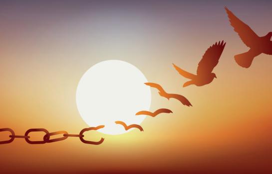 Justicia gratuita y turno de oficio