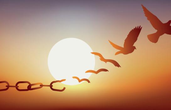 Justicia gratuita y turno de oficio