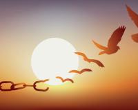 Justicia gratuita y turno de oficio