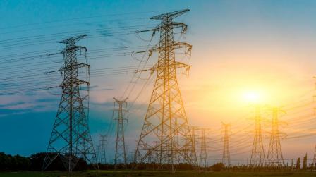 Pequeñas comercializadoras eclaman perjuicios