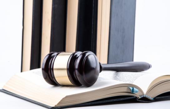 prejudicialidad y litispendencia