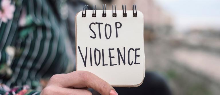 Accesibilidad a la Justicia de las víctimas de violencia de genero