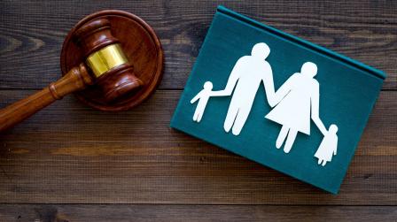 Novedades en Derecho de Familia