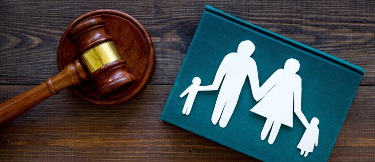 Novedades en Derecho de Familia