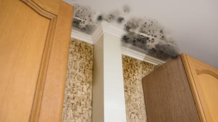 Responsabilidad por daños en edificio Responsabilidad por daños en vivienda