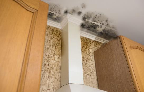 Responsabilidad por daños en edificio