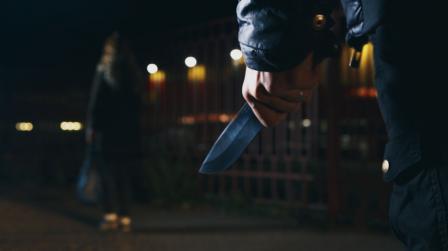 Balance de criminalidad