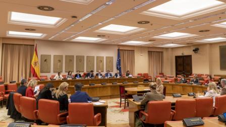 Comparecencia ministra de Trabajo