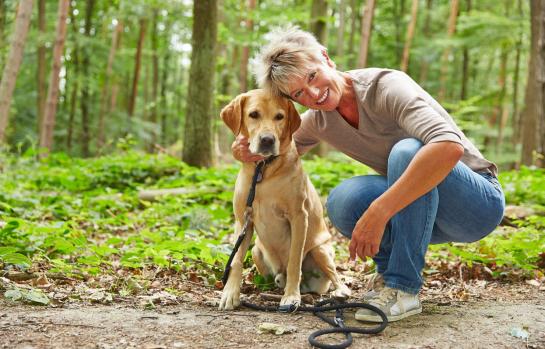 Jubilacion anticipada y servicio social