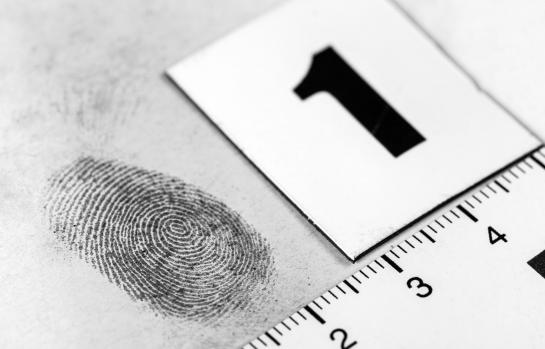 Orden Europea de Investigación