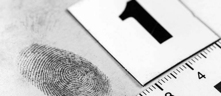 Orden Europea de Investigación