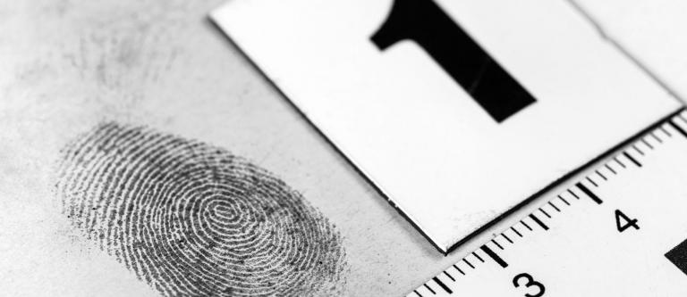Orden Europea de Investigación