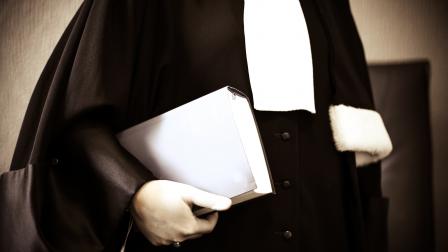 Directrices del CGPJ